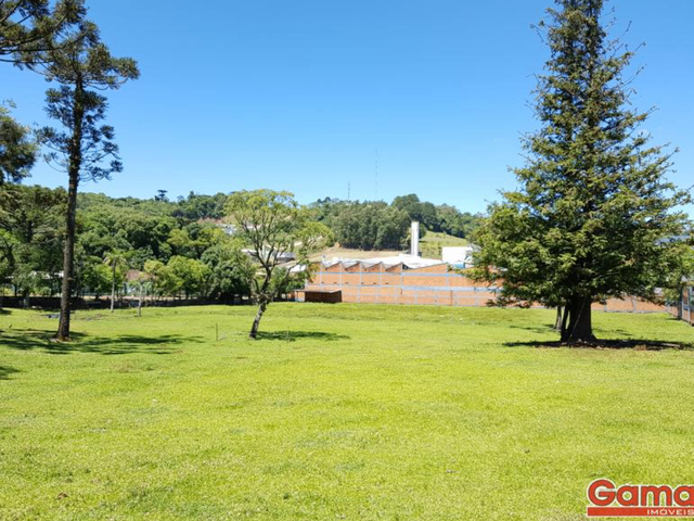 Terreno com 10036m², à venda, no bairro Vila Lenzi em Nova Prata