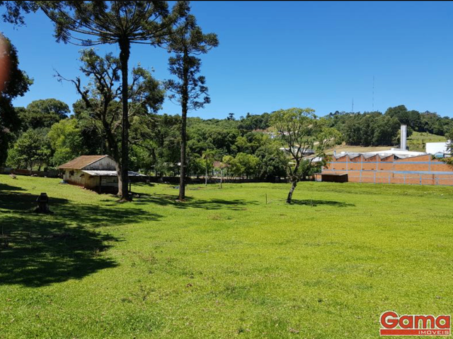 Terreno com 10036m², à venda, no bairro Vila Lenzi em Nova Prata