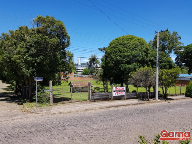 Terreno com 10036m², à venda, no bairro Vila Lenzi em Nova Prata