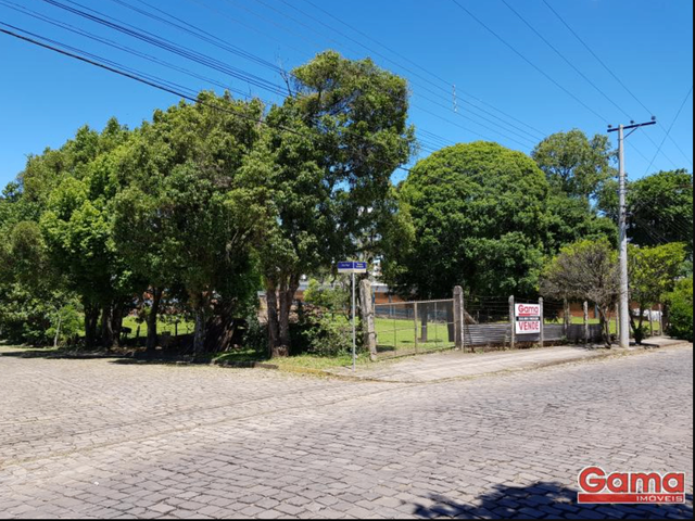 Terreno com 10036m², à venda, no bairro Vila Lenzi em Nova Prata