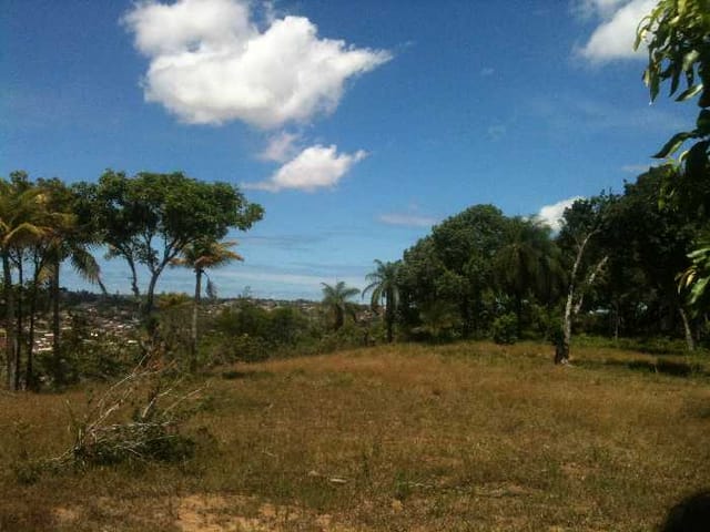 Terreno com 76245m², à venda, no bairro Jardim Paulista em Igarassu