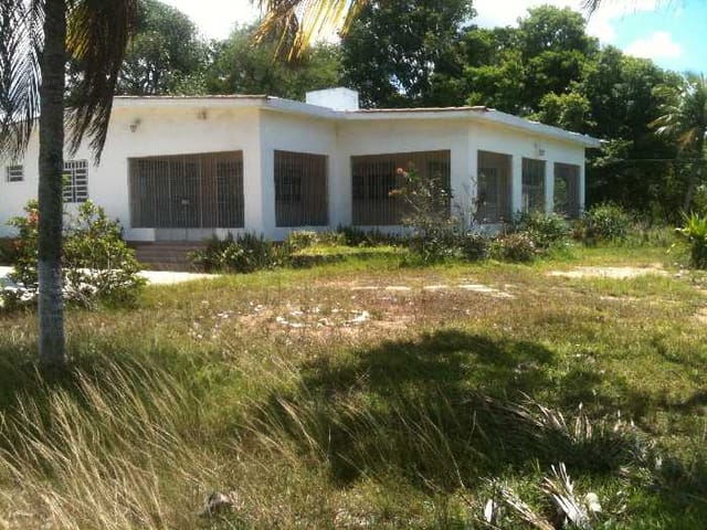 Terreno com 76245m², à venda, no bairro Jardim Paulista em Igarassu