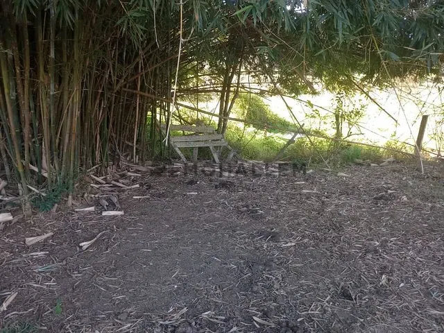 Terreno com 24000m², à venda, no bairro Fundão em São José do Alegre