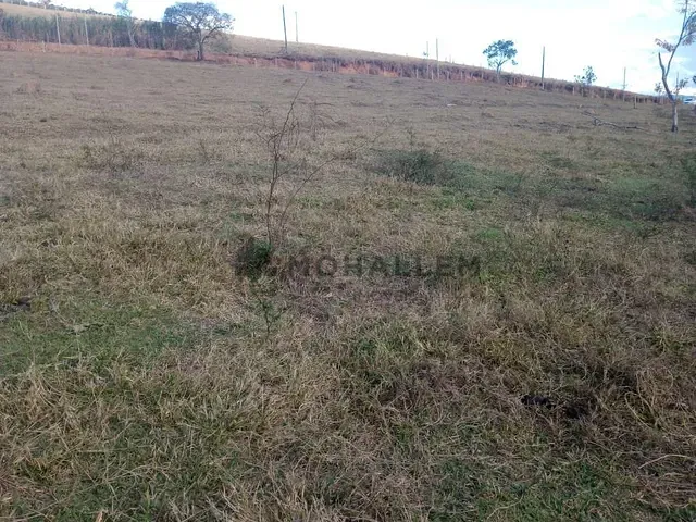 Terreno com 24000m², à venda, no bairro Fundão em São José do Alegre