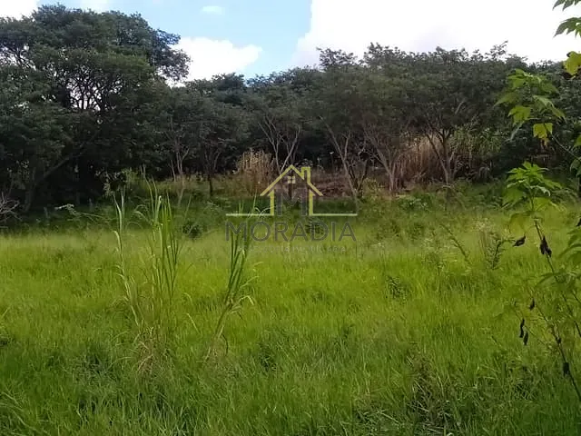 Terreno com 16000m², à venda, no bairro Parque dos Ipês em Guaxupé