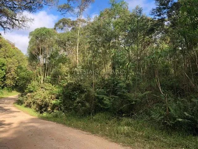 Terreno com 525m², à venda, no bairro Centro em Bocaiúva Do Sul