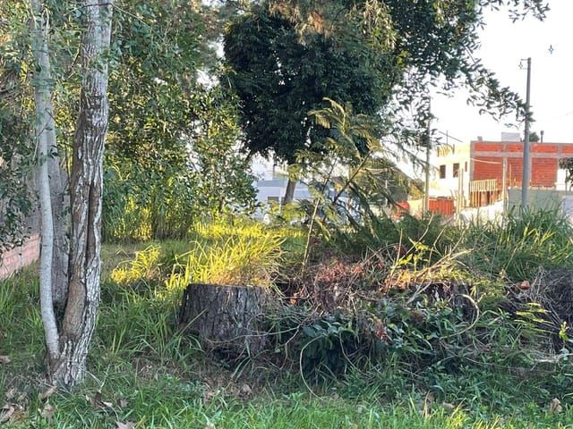 Terreno com 235m², à venda, no bairro Laranjal em Pelotas