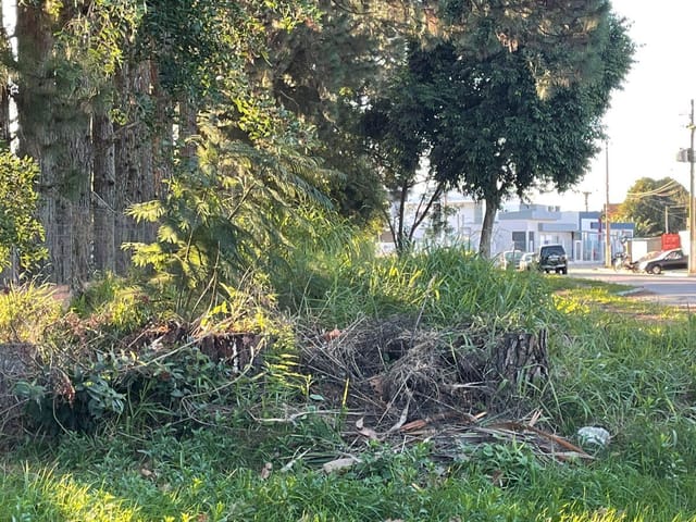 Terreno com 235m², à venda, no bairro Laranjal em Pelotas
