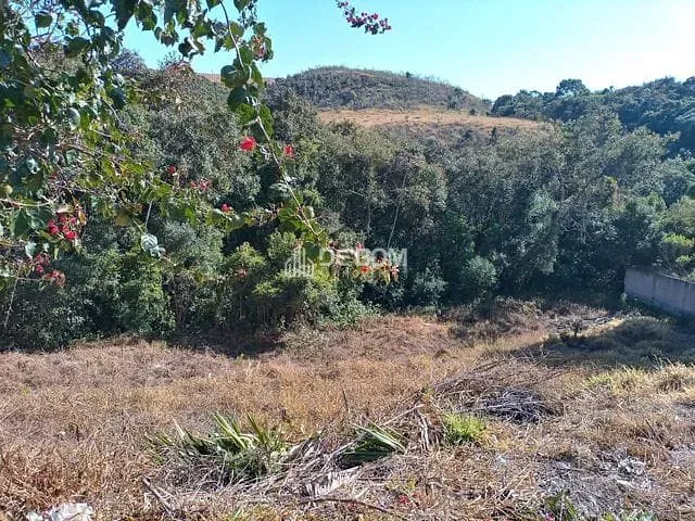Terreno com 542m², à venda, no bairro Residencial Morumbí em Poços de Caldas