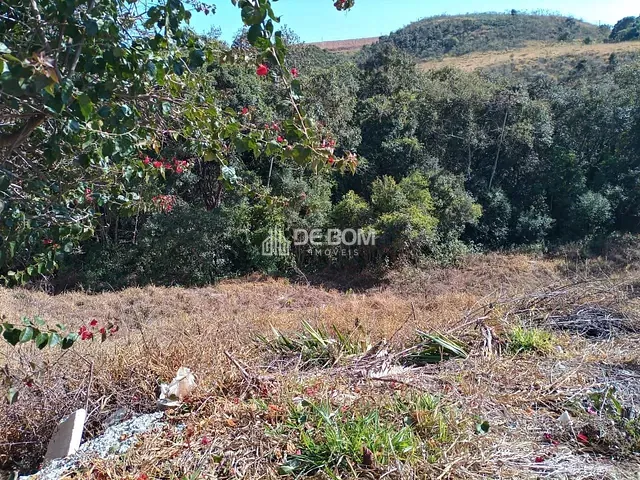 Terreno com 542m², à venda, no bairro Residencial Morumbí em Poços de Caldas