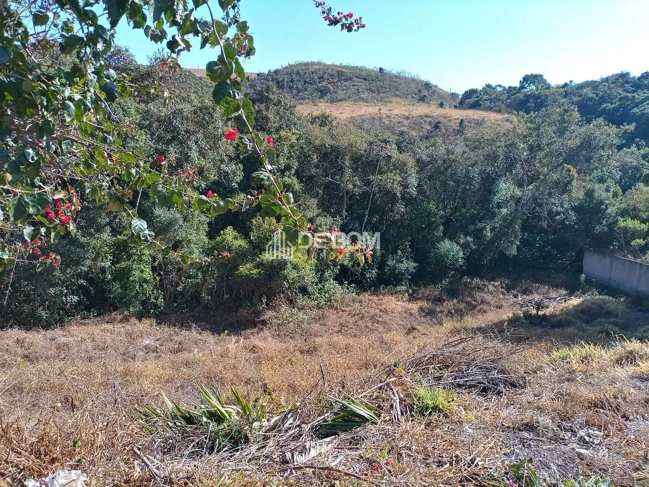 Terreno, 541 m² - Foto 1