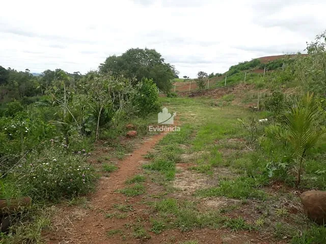 Terreno com 5055m², à venda, no bairro Limoeiro em Londrina