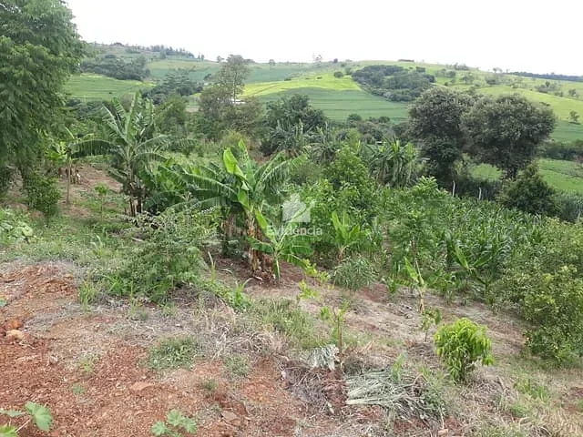 Terreno com 5055m², à venda, no bairro Limoeiro em Londrina