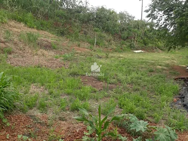 Terreno com 5055m², à venda, no bairro Limoeiro em Londrina
