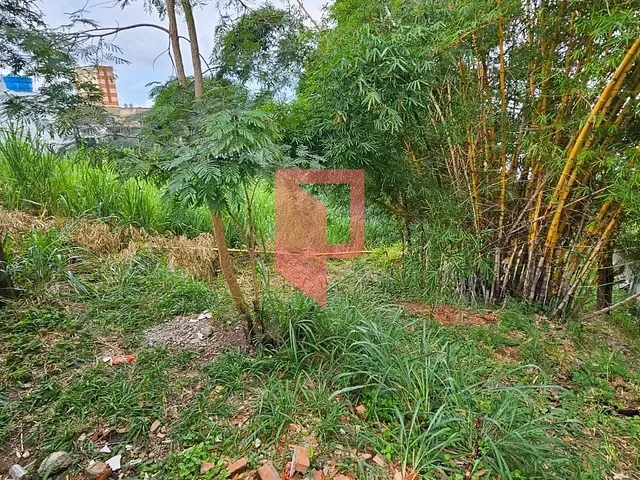 Terreno com 1000m², à venda, no bairro São Francisco em Belo Horizonte