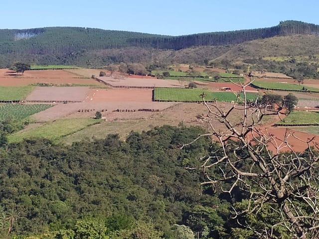 Terreno com 2700m², à venda, no bairro CENTRO em Igarapé