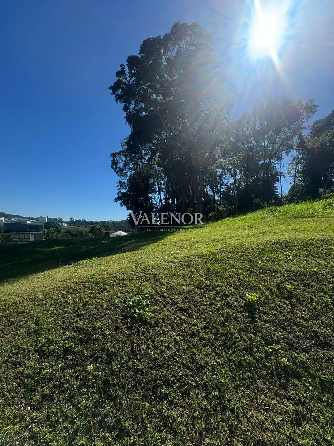 Terreno, 371 m² - Foto 3