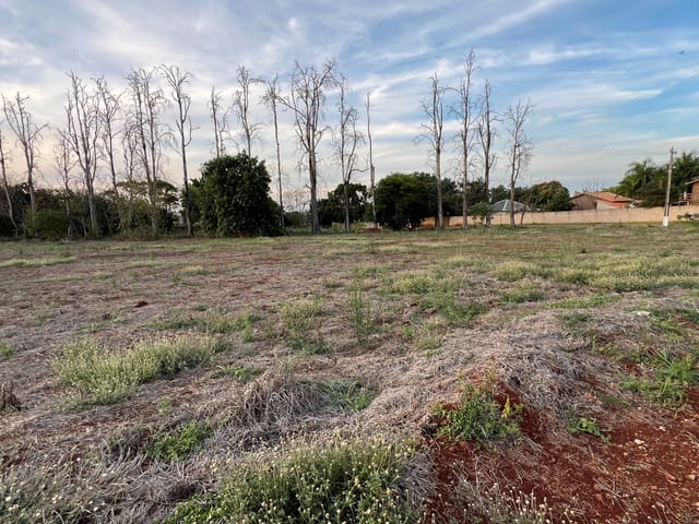 Terreno com 6550m², à venda, no bairro FAZENDA NATA em Londrina