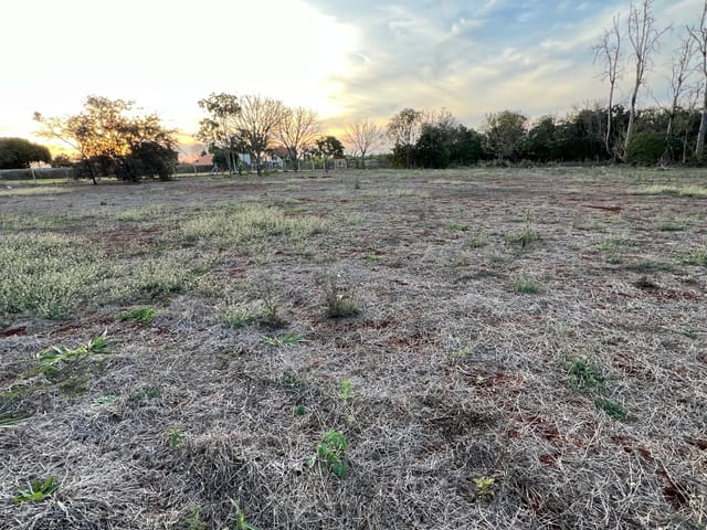 Terreno com 6550m², à venda, no bairro FAZENDA NATA em Londrina