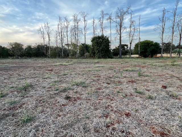 Terreno com 6550m², à venda, no bairro FAZENDA NATA em Londrina