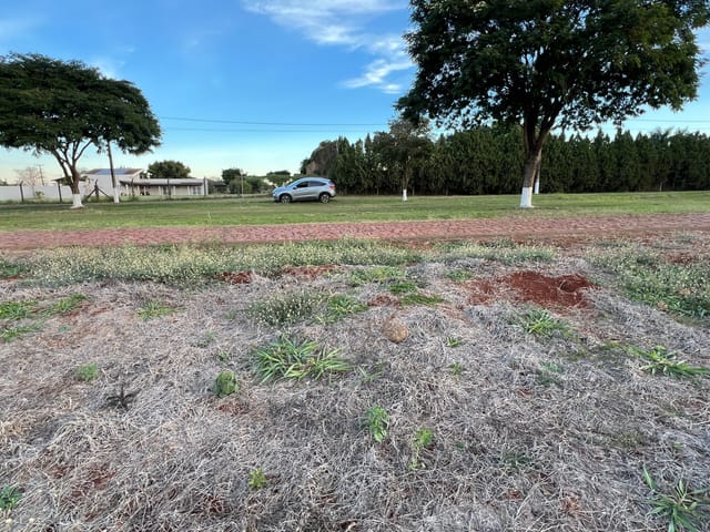 Terreno com 6550m², à venda, no bairro FAZENDA NATA em Londrina