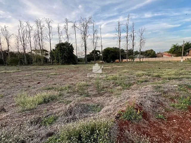 Terreno com 6550m², à venda, no bairro FAZENDA NATA em Londrina