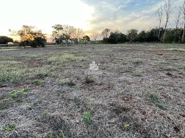 Terreno com 6550m², à venda, no bairro FAZENDA NATA em Londrina