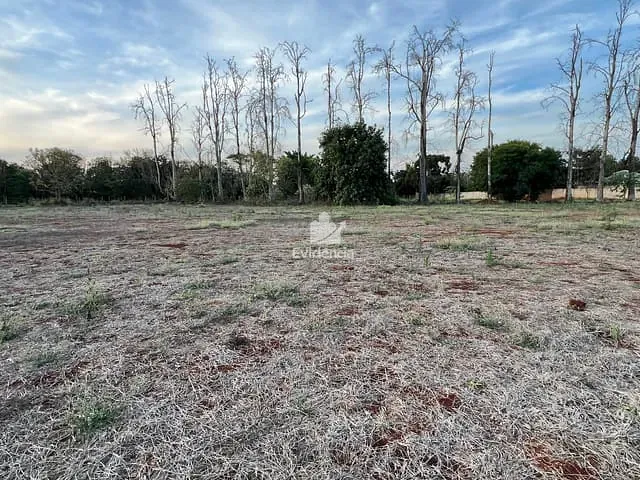 Terreno com 6550m², à venda, no bairro FAZENDA NATA em Londrina