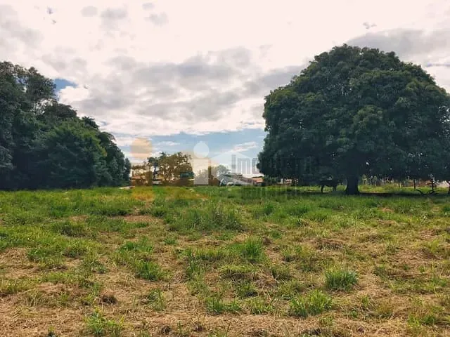 Terreno com 6050m², à venda, no bairro Centro em Rolândia