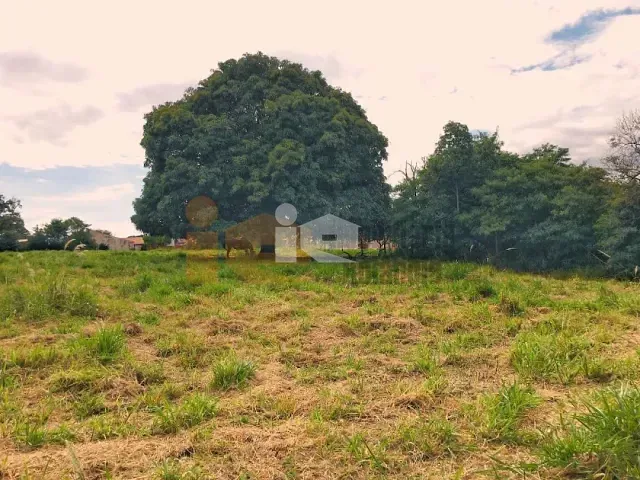 Terreno com 6050m², à venda, no bairro Centro em Rolândia