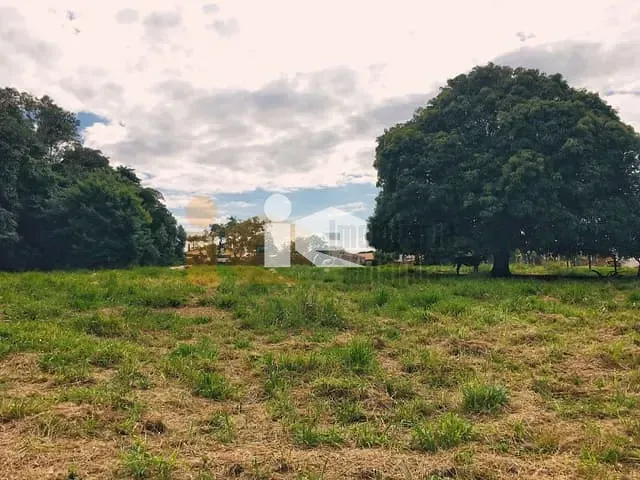 Terreno com 6050m², à venda, no bairro Centro em Rolândia