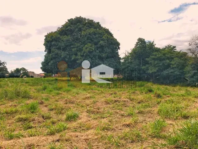Terreno com 6050m², à venda, no bairro Centro em Rolândia