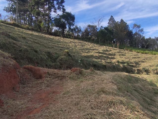 Foto do Terreno - Terreno à venda, Luis Carlos, Guararema, SP | Resolve Imóveis