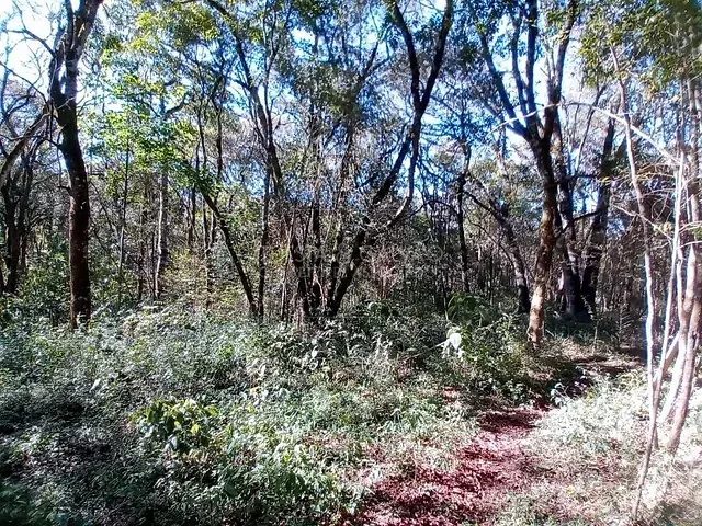 Terreno com 2m², à venda, no bairro São Gabriel em Colombo