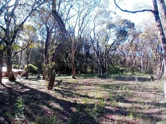 Terreno com 2m², à venda, no bairro São Gabriel em Colombo