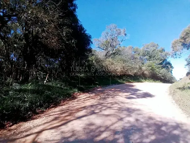 Terreno com 2m², à venda, no bairro São Gabriel em Colombo