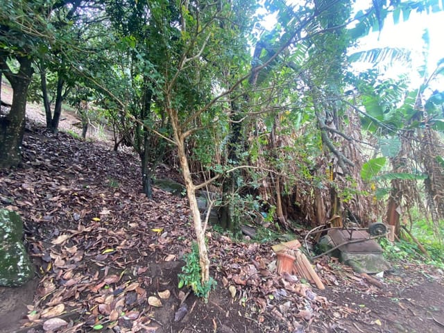 Terreno com 360m², à venda, no bairro Vila Rica em Extrema