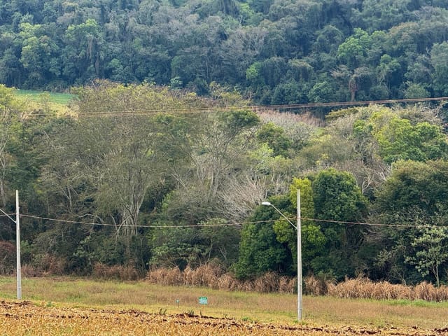 Terreno com 3000m², à venda, no bairro Barreiro em Apucarana