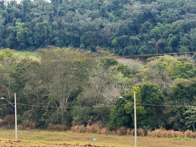 Terreno com 3000m², à venda, no bairro Barreiro em Apucarana