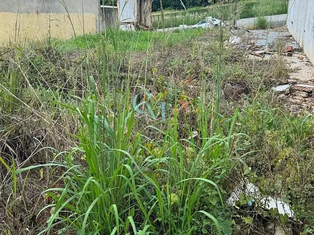 Terreno com 390m², à venda, no bairro La Salle em Xanxerê