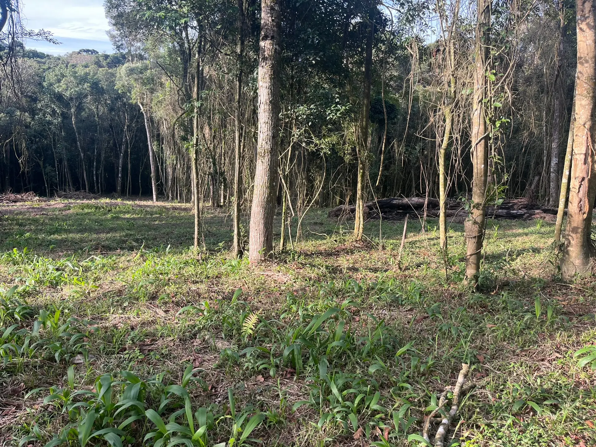 Terreno, 2000 m² - Foto 20