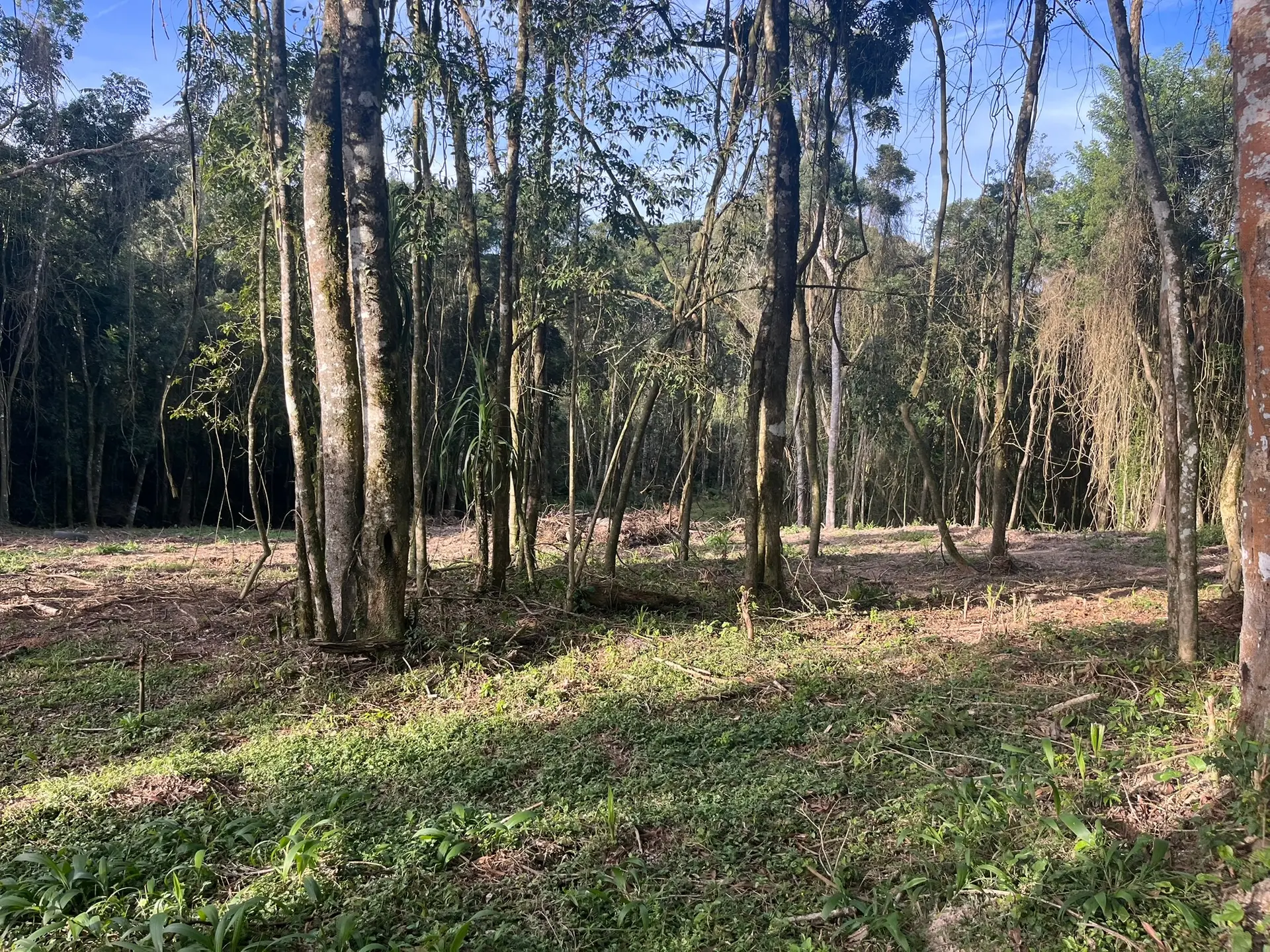 Terreno, 2000 m² - Foto 21