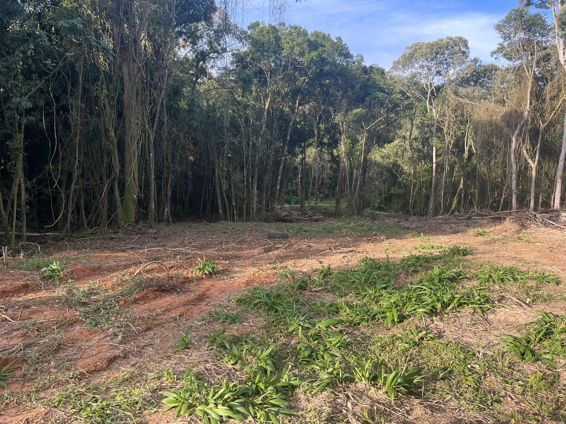 Terreno, 2000 m² - Foto 22