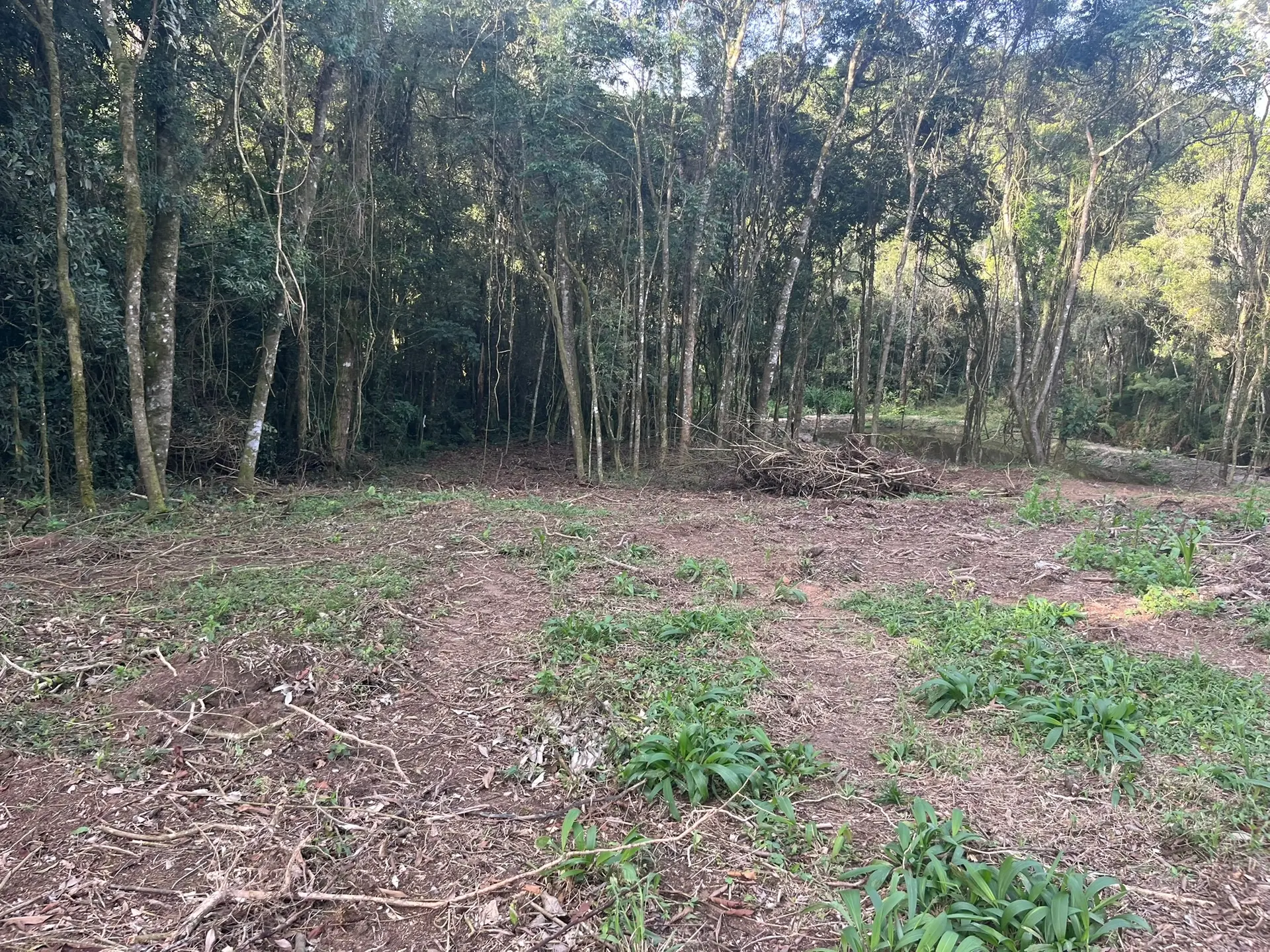 Terreno, 2000 m² - Foto 23