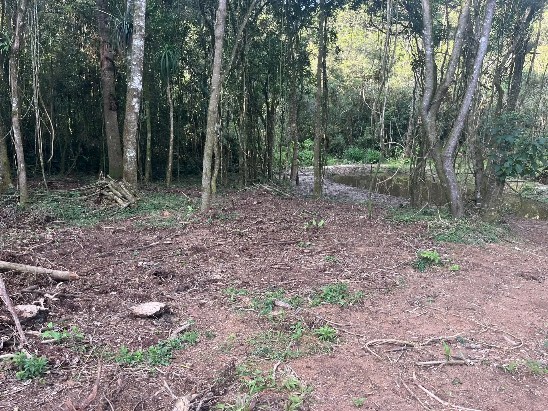 Terreno, 2000 m² - Foto 24