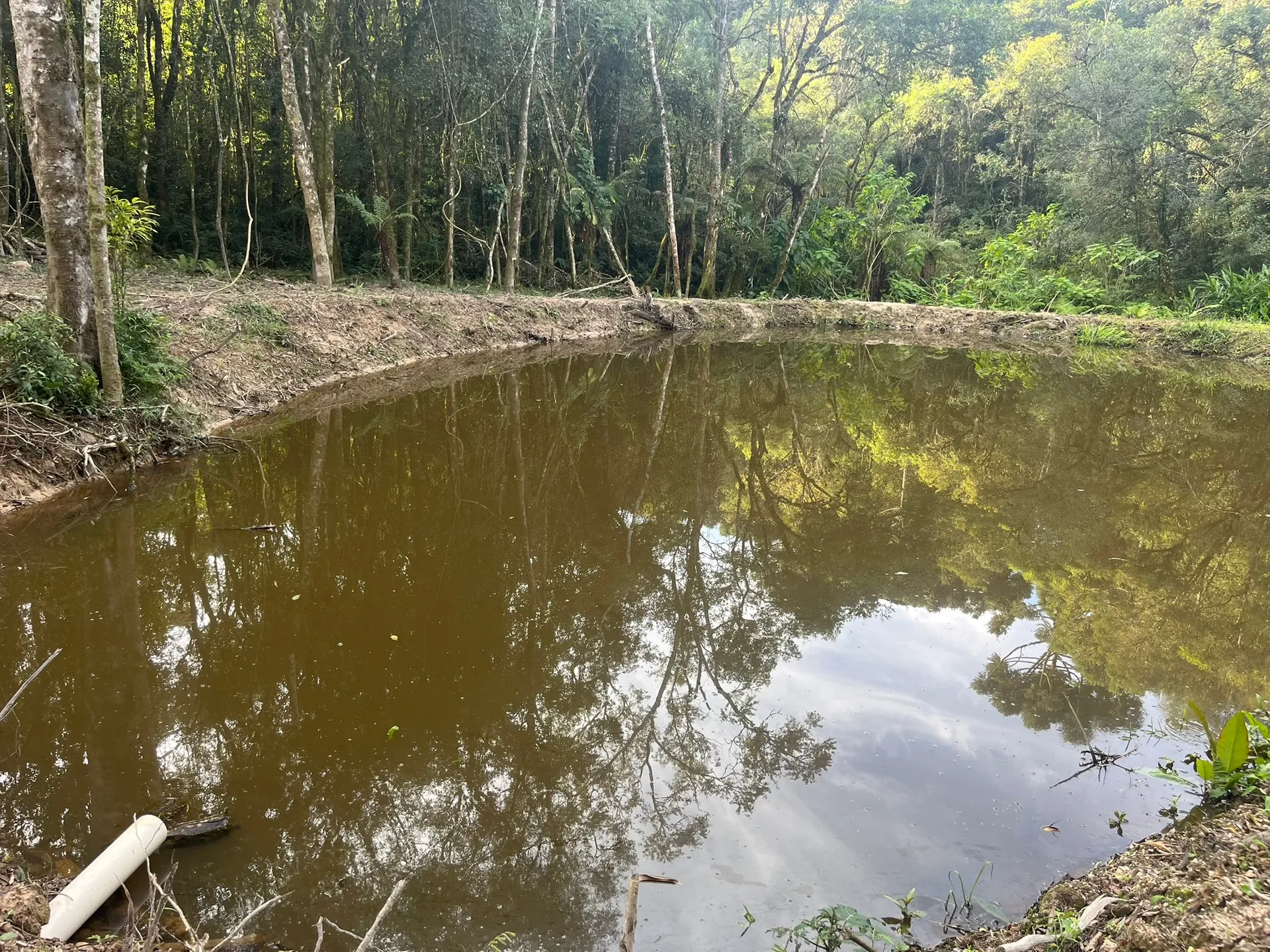 Terreno, 2000 m² - Foto 5
