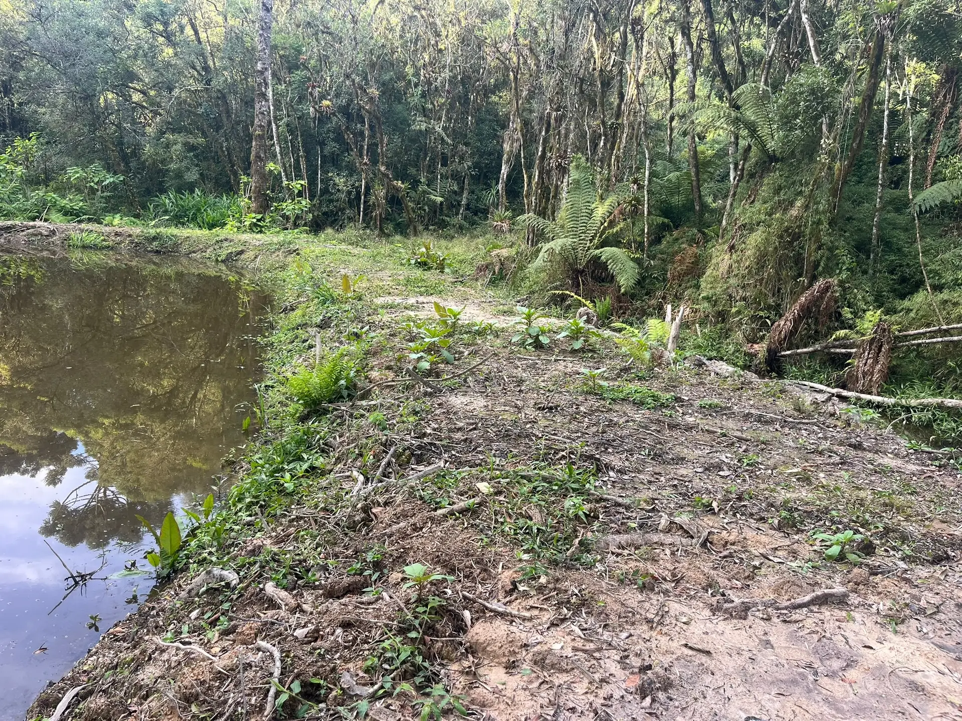 Terreno, 2000 m² - Foto 7