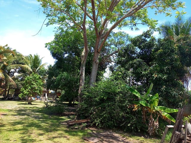Foto do Terreno - Área Comercial/Residencial à venda, Vila Juerana, Ilhéus, BA | MY House