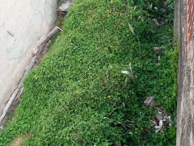 Terreno com 286m², à venda, no bairro Vila Monumento em São Paulo