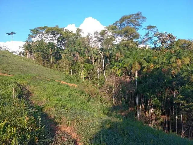 Terreno com 1000m², à venda, no bairro Capelinha em Pedra Selada